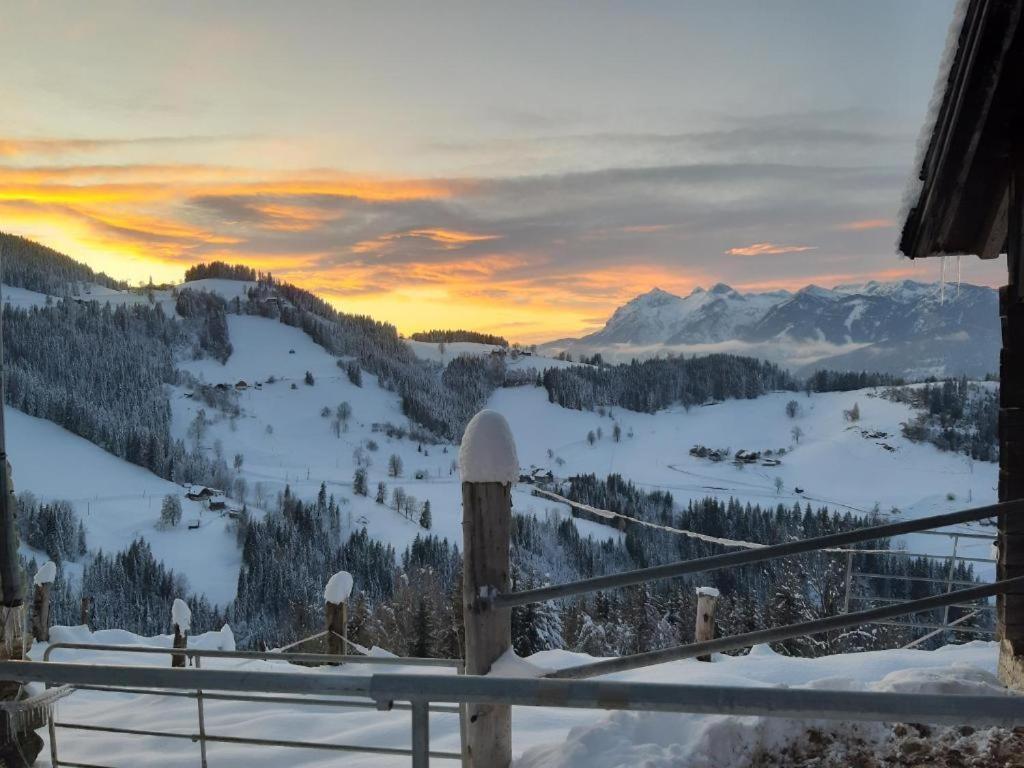 Leo Chalet