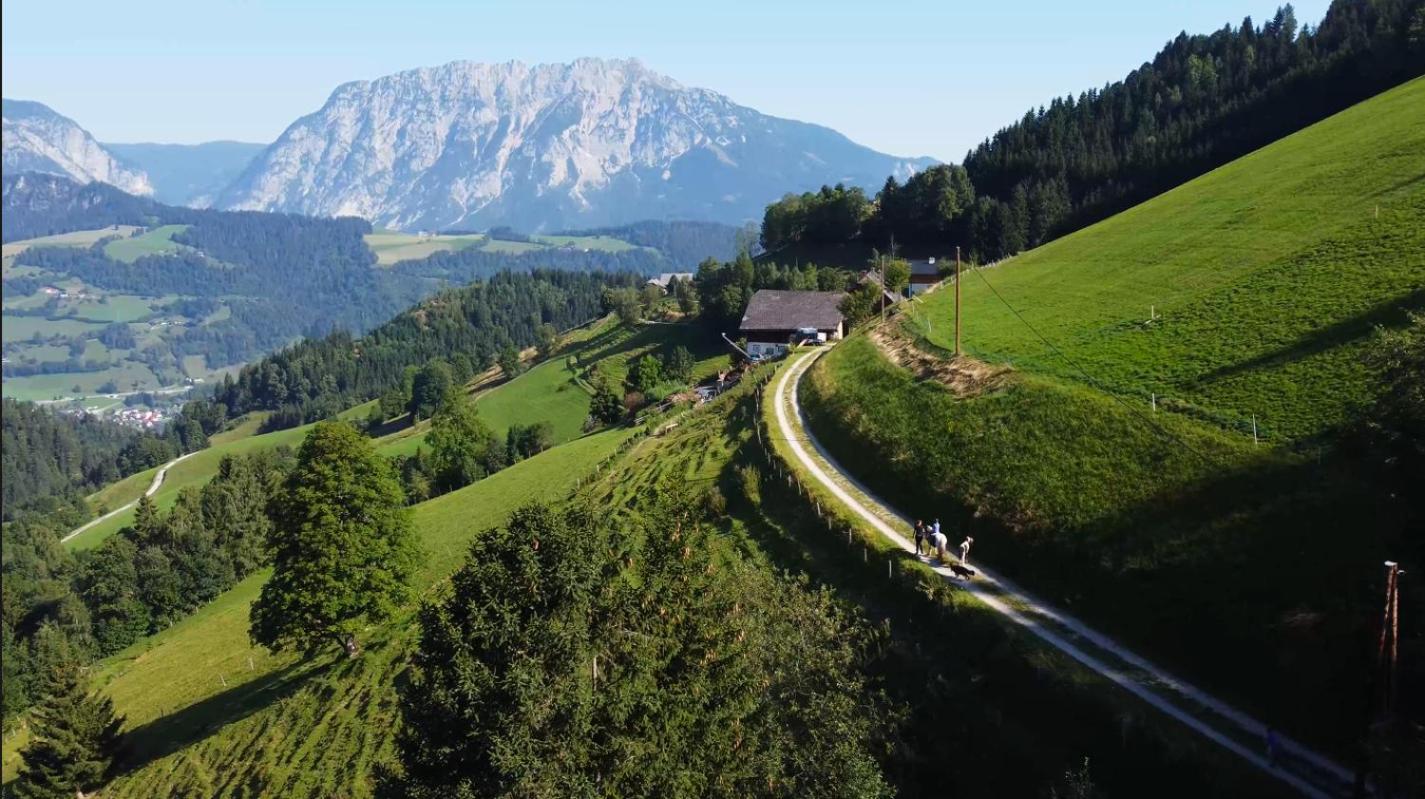Leo Chalet Michaelerberg